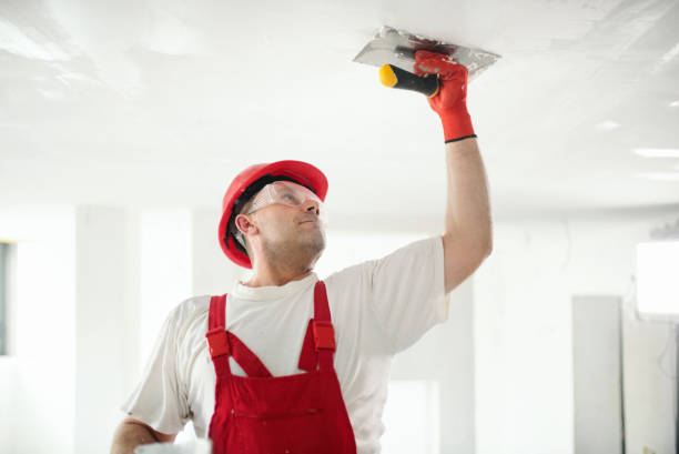 Best Drywall Sanding and Smoothing  in Verona, WI